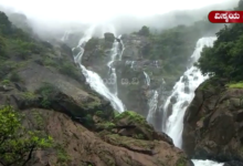 Dudhsagar Falls Tours