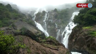 Dudhsagar Falls Tours