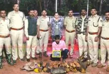 Sandalwood seized