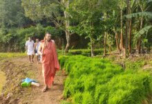 sirsi sonda swarnavalli swamiji