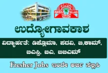 Fresher Jobs