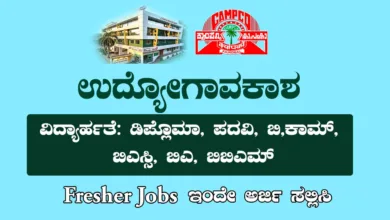 Fresher Jobs